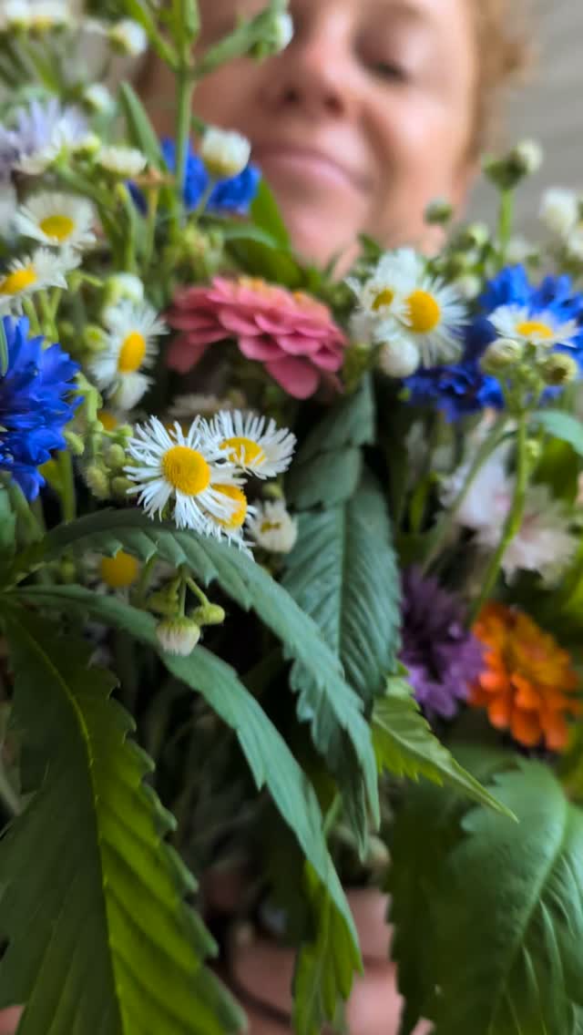 POV: your flowers were alive this morning.