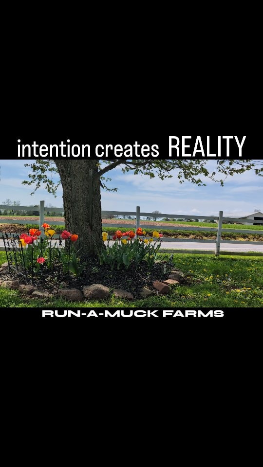 Reality is born from intention.