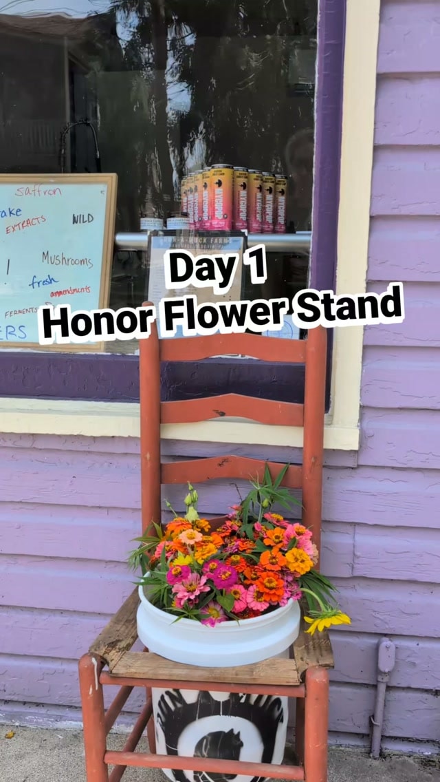 Day one. We leave the flowers out and trust you to pay for them.