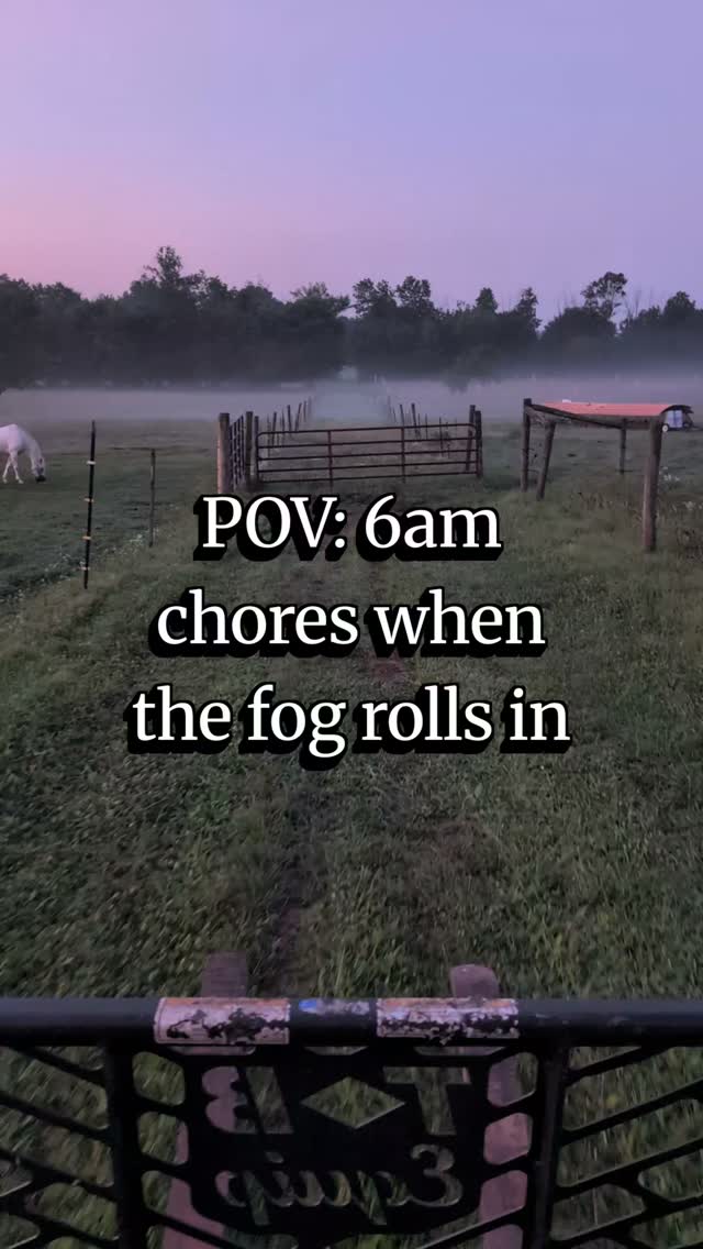 Pulled up to the 14x40 chicken tractor this morning
