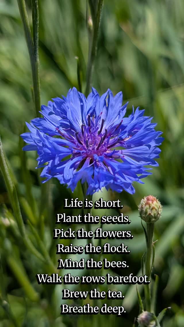 Life is short. Plant the seeds.